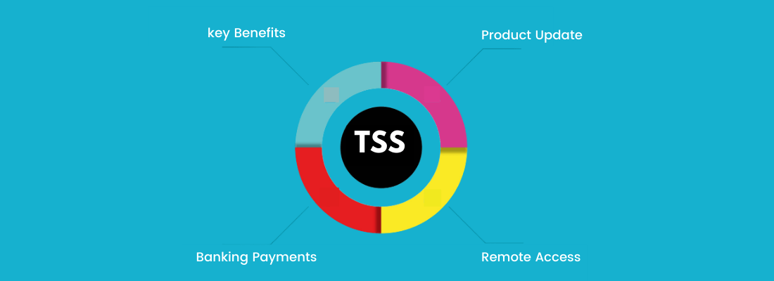 Tally Software Services TSS EBIZ TECHNIX